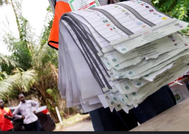 2023: 24,682 Ballot Papers Goes Missing in Kano | Daily Report Nigeria