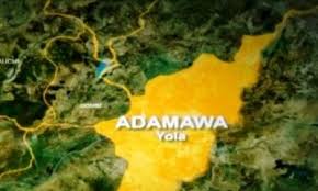 Suspected Ritualists Kill, Dismember Schoolboy In Adamawa | Daily Report Nigeria