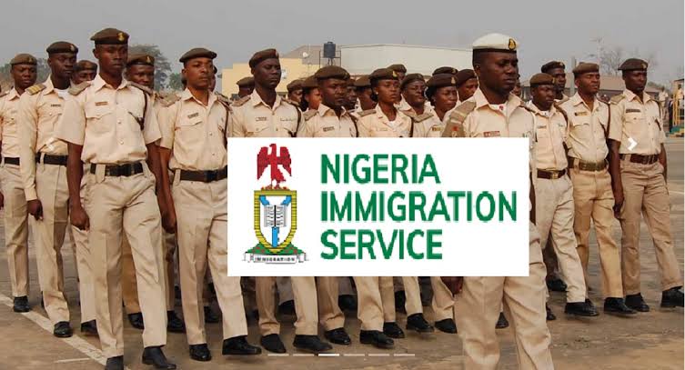 2023: NIS Arrests 516 Illegal Immigrants In Kaduna | Daily Report Nigeria