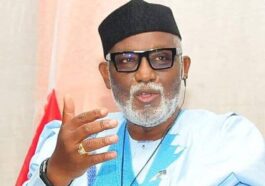 2023: It’s Tinubu’s Turn To Be President— Akeredolu | Daily Report Nigeria