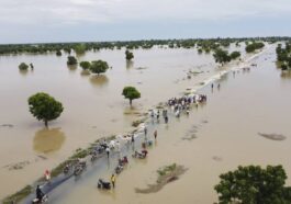 Adamawa, Bayelsa, 30 Others At Flood Risk— FG | Daily Report Nigeria