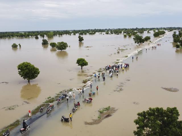 Adamawa, Bayelsa, 30 Others At Flood Risk— FG | Daily Report Nigeria