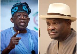 2023: "We Know You're Working For Tinubu,' PDP Tells Wike | Daily Report Nigeria