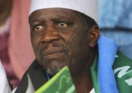 2023: Whole North Not Behind Tinubu— Bafarawa | Daily Report Nigeria