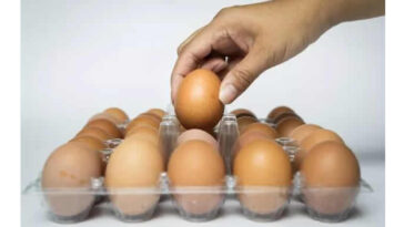 High Consumption of Eggs Linked to Brain Cancer | Daily Report Nigeria