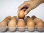 High Consumption of Eggs Linked to Brain Cancer | Daily Report Nigeria