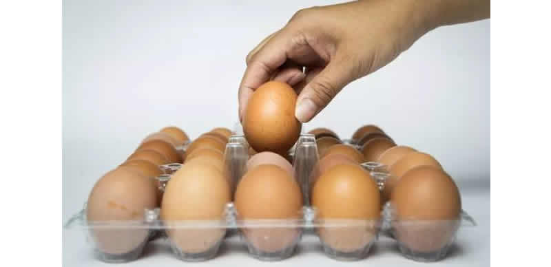High Consumption of Eggs May Lead to Brain Cancer - Expert Warns | Daily Report Nigeria