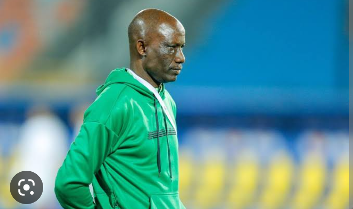 U-20 AFCON: Flying Eagles Lost Stupidly to Gambia - Bosso | Daily Report Nigeria