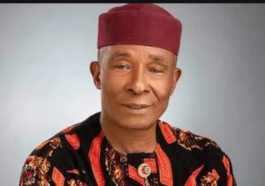 APC National Welfare Secretary, Friday Nwosu is Dead | Daily Report Nigeria