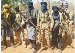 Bandits Kill Kaduna Chief's Wife After Ransom Payment | Daily Report Nigeria