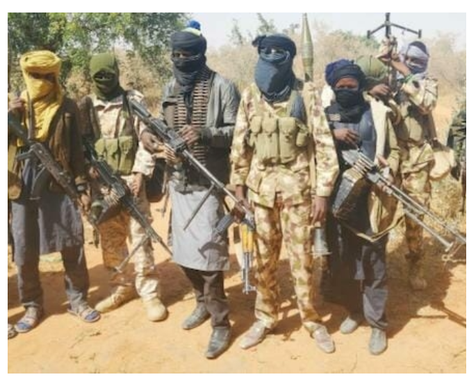 Bandits Kill Kaduna Chief's Wife After Ransom Payment | Daily Report Nigeria