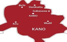 14 Suspected Armed Robbers, Drugs Dealers Arrested in Kano | Daily Report Nigeria