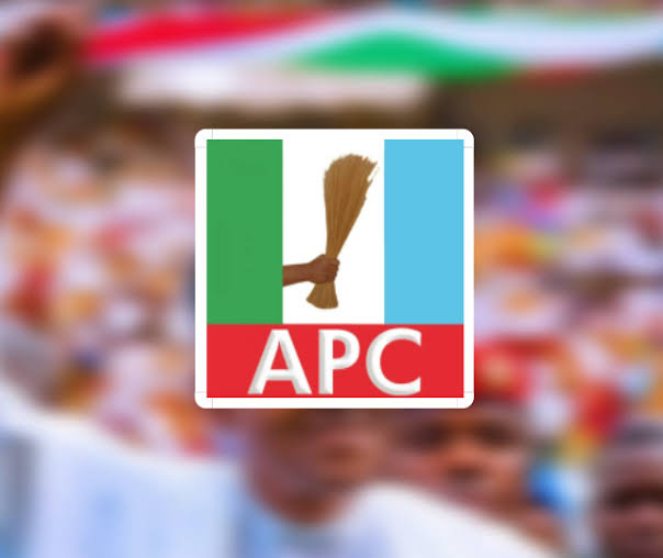 APC Screens Aspirants For Imo, Bayelsa, Kogi Governorship Elections [FULL LIST] | Daily Report Nigeria