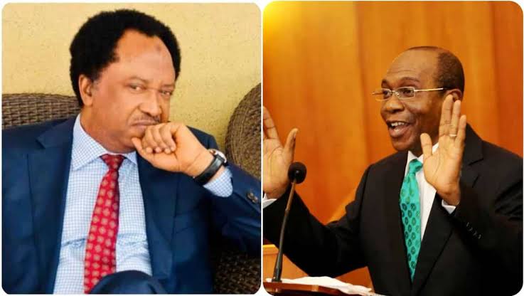 Emefiele Will be Like a Zebra When Buhari Leaves