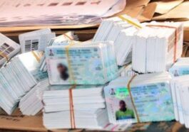 Army Recovers over 1000 PVCs, Ballot Papers in Lagos Apartment | Daily Report Nigeria