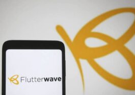 Hackers Steal N2.9bn From Flutterwave | Daily Report Nigeria