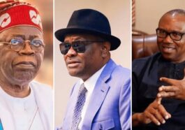 2023 Presidency: Why I Refused Opposing Obi, Tinubu - Wke | Daily Report Nigeria