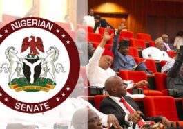 LP Secures 6 Seats as INEC Releases List of Senators-elect | Daily Report Nigeria