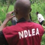 NDLEA Intercepts Heroin, Skunk in 12 States | Daily Report Nigeria