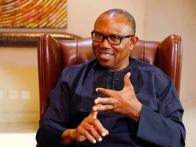 Peter Obi Challenges Presidential Election Results in 21 States | Daily Report Nigeria