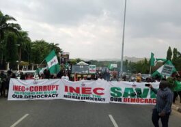 Protesters Demand Sack, Prosecution of INEC Chairman, Interim Govt | Daily Report Nigeria