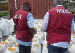 778,190 Pills Of Tramadol Found In Taraba By NDLEA | Daily Report Nigeria