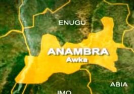 Man Kills Pregnant Wife In Anambra | Daily Report Nigeria