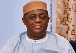 Femi Fani-Kayode: UK Lists 10 Nigerians for Visa Ba