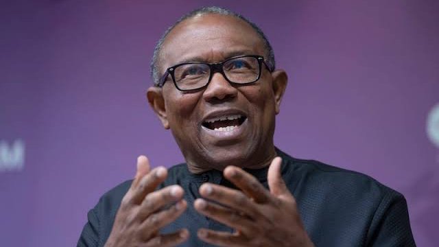 FG Accuses Peter Obi Of Treason | Daily Report Nigeria