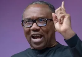 Reverse Sudden Fuel Price Hike – Peter Obi Tackles Tinubu | Daily Report Nigeria