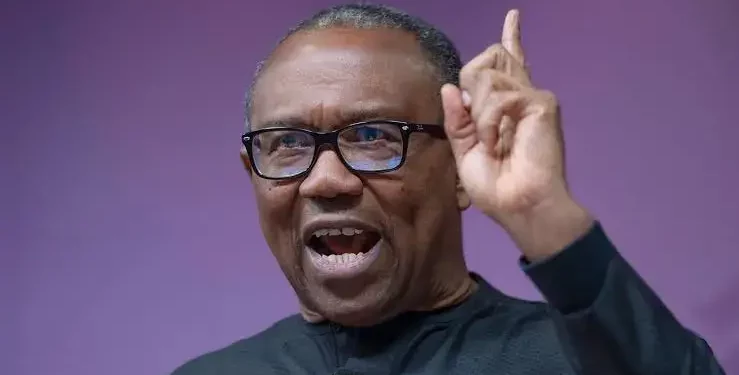 Reverse Sudden Fuel Price Hike – Peter Obi Tackles Tinubu | Daily Report Nigeria