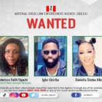 NDLEA Declares Prophetess, Celebrity Couple Wanted for Drug Trafficking | Daily Report Nigeria