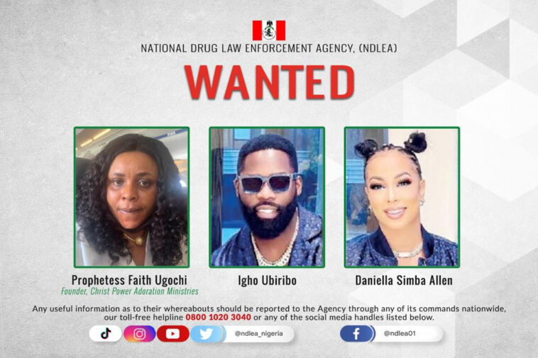 NDLEA Declares Prophetess, Celebrity Couple Wanted for Drug Trafficking | Daily Report Nigeria