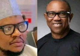 'For Insulting North, You'll Never be President,' - Adamu Garba Tells Peter Obi | Daily Report Nigeria