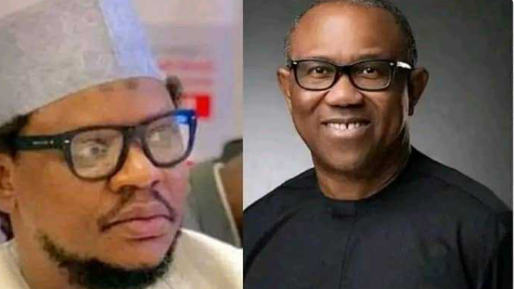 'For Insulting North, You'll Never be President,' - Adamu Garba Tells Peter Obi | Daily Report Nigeria