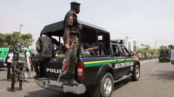 Police Arrest Suspected Armed Robber, Recover Pistols in Delta | Daily Report Nigeria