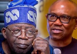 Presidential Poll: INEC Portal Reveals Obi Won in Rivers Not Tinubu | Daily Report Nigeria