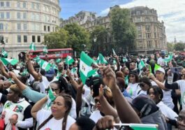 'Obidients' Protest Against Presidential Election Results in US | Daily Report Nigeria