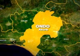 Suspected ‘Yahoo boy’ Crushes 4 to Death in Ondo | Daily Report Nigeria