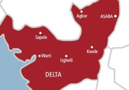 Gunmen Kill APC Chieftain in Delta | Daily Report Nigeria