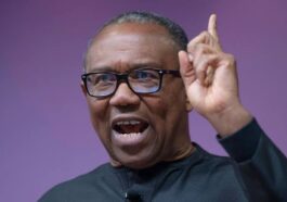 UK Yet to Apologize For Peter Obi's Detention - Labour Party