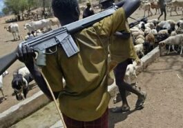 Nathaniel Ochoche: Herdsmen Kill Labour Party Chairman in Benue | Daily Report Nigeria