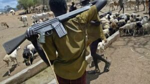 Gunmen Invade Abuja Community, Kidnap 29 Persons