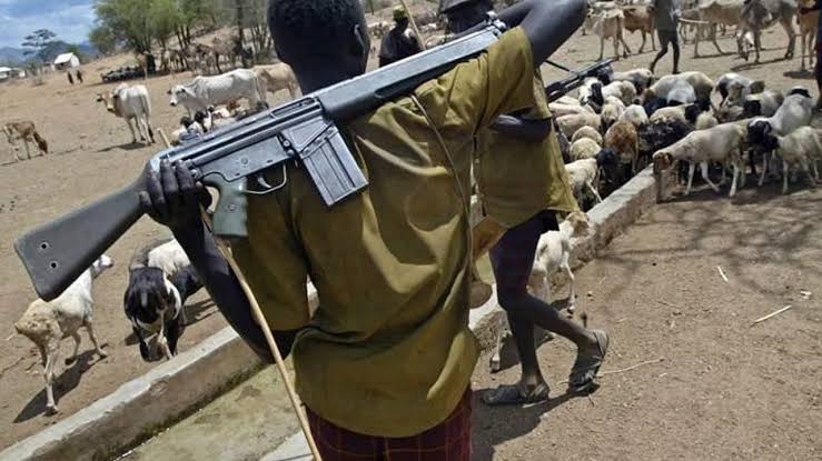 Nathaniel Ochoche: Herdsmen Kill Labour Party Chairman in Benue | Daily Report Nigeria