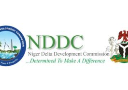 NDDC to Connect Niger Delta States by Rail