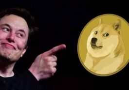 Cryptocurrency Surges 20% After Musk Changed Twitter Logo to ‘Meme Dog’ | Daily Report Nigeria