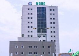 Reps Stop NDDC From Releasing N15bn to FG | Daily Report Nigeria