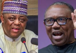 Fani-Kayode Mocks Peter Obi Over Detention in UK | Daily Report Nigeria