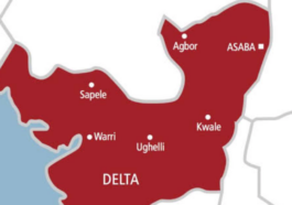 Delta Police Arrest Woman For Selling AK47 Bullets | Daily Report Nigeria