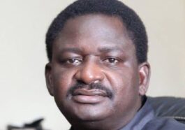 Creation Of Jobs Not Govt's Duty — Femi Adesina | Daily Report Nigeria